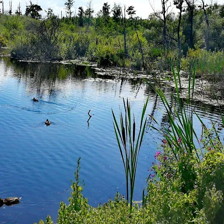 Üdülőközpont Sanatorium Uzdrowiskowe Lech Kołobrzeg