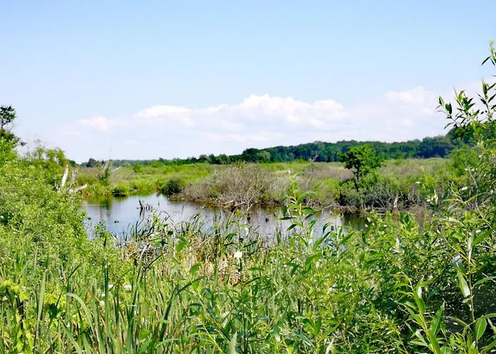 Sanatorium Uzdrowiskowe Lech Kolobřeh