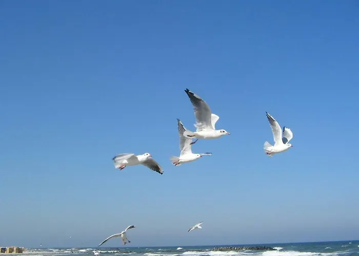 Sanatorium Uzdrowiskowe Lech Resort 3*